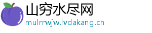 山穷水尽网